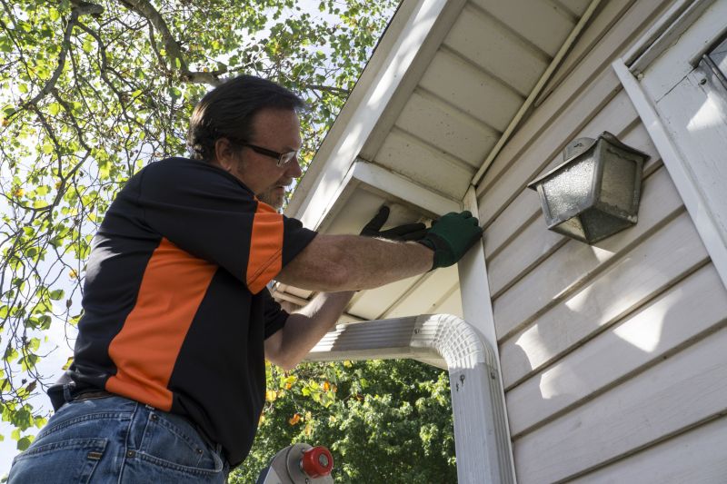 Vinyl Siding Repair Professional Image 1