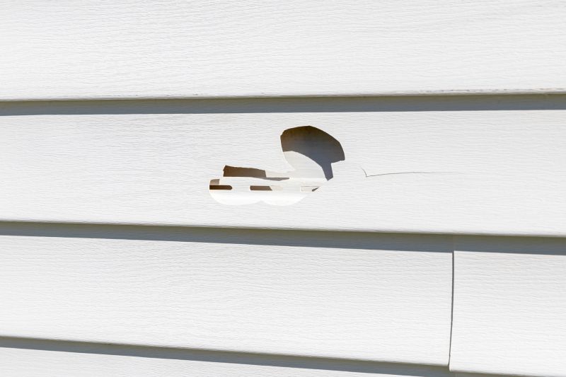Vinyl Siding Repair Service Image 1